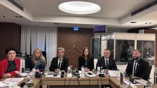 Members of the coordination mechanism