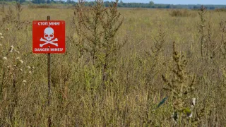 A red "Danger Mines!" sign with a skull and crossbones stands in a field of tall grass, warning of landmines.