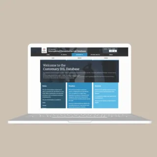 Screenshot of the customary IHL database