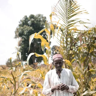 A man in a field in bright sunshine checking his crops