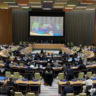 UN Speech on global initiative