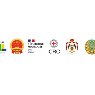 Logotipo do CICV e dos países que promovem a Iniciativa Global