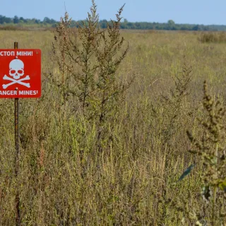 A red "Danger Mines!" sign with a skull and crossbones stands in a field of tall grass, warning of landmines.