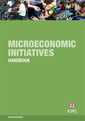 Microeconomic Initiatives: Handbook
