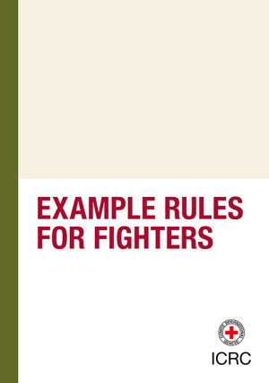 Example Rules for Fighters