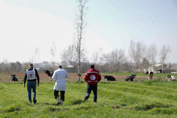 ICRC Activities in Syria: Facts & Figures (January - June 2024) 1 202403%20 %20Syria%20 %20Rural%20Damascus%20 %20EcoSec%201