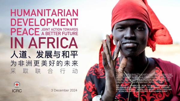 china roundtable africa banner