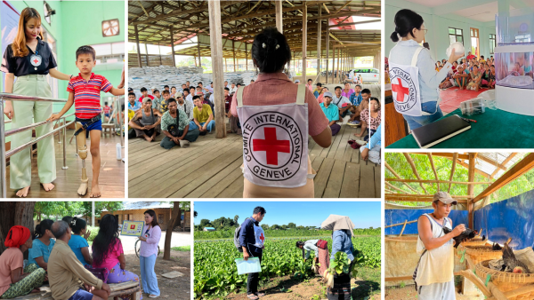 Myanmar%20Facts%20and%20Figures%20Jan%20 %20Dec%202024 cover