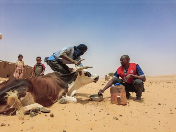 2025 Special Appeal Climate resilience cover