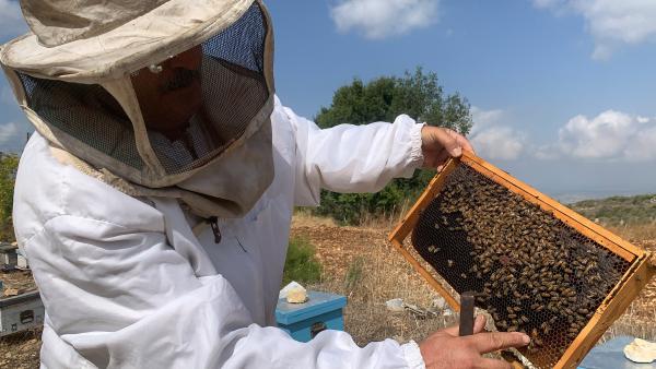 Evaluation of the ICRC’s economic security Analysis & Evidence Strategy 2019–2022