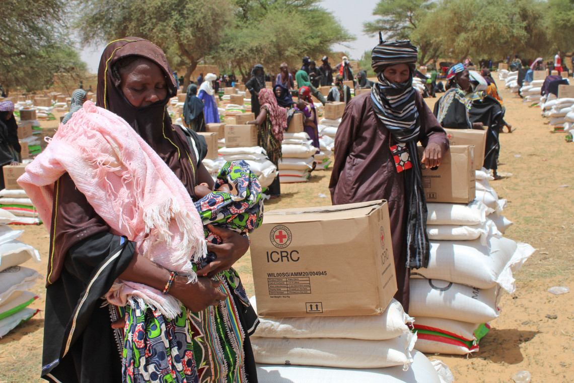 Together with the Red Cross Society of Niger, we have been distributing food to ease the strain on host families.