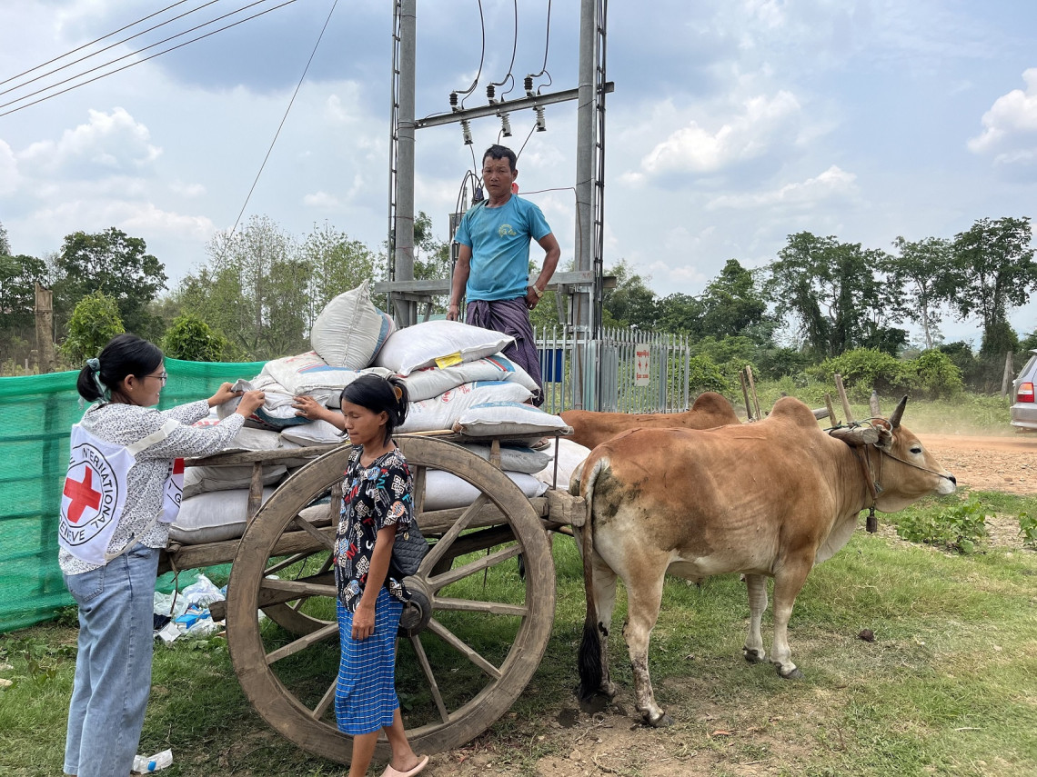 Some families brought bullock carts to carry supplies back home.