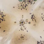 Image from above of climate change effectc. Photo: M. Birom Seck