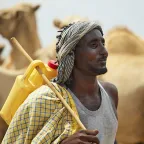 A farmer herding his cattle in Xaaro village