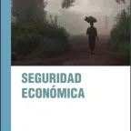 Portada de la publicación: Seguridad Económica