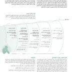 التصدي للوصم الاجتماعي ضد ضحايا/الناجين من العنف الجنسي