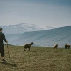 Omar stands on a hillside watching over his sheep in a vast, mountainous landscape with snow-capped peaks in the distance, in Iraq.