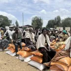 Seeds and fertilizers distribution in Ayna Bugna, North Wollo, Amhara region.