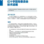 ICRC technology strategy summary