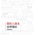 国际人道法全球倡议进展报告