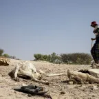 Somalia, Galmudug region, El Gule internally displaced people camp. Millions of people in Somalia continue to face the severe consequences of the drought. 