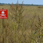 A red "Danger Mines!" sign with a skull and crossbones stands in a field of tall grass, warning of landmines.