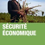 Sécurité économique