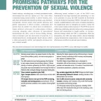 Promising Pathways for the prevention of sexual violence 2024