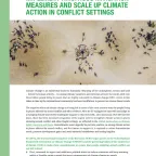 THE ICRC’S CALL TO COP29: IMPLEMENT AMBITIOUS MITIGATION MEASURES AND SCALE UP CLIMATE ACTION IN CONFLICT SETTINGS