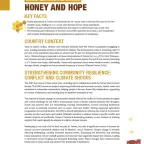 Honey and Hope: Securing Yemen’s Beekeeping Livelihoods