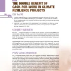 Mali: The double benefit of cash-for-work in climate resilience projects