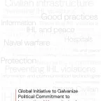 Global Initiative to Galvanize Political Commitment on International Humanitarian Law: Progress Report