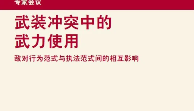 武装冲突中的武力使用