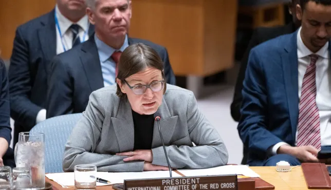 President Mirjana Spoljaric speaks in the UN Security Council.
