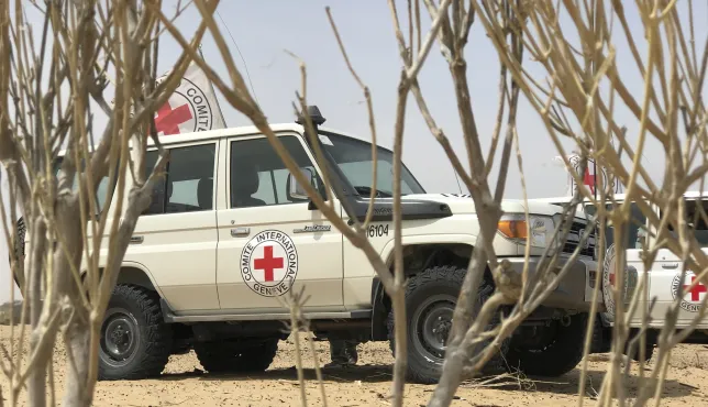 Diffa. Des véhicules du CICR.