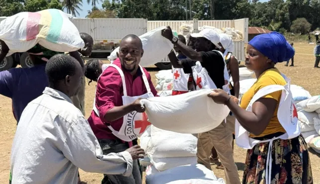 In a community in the district of Muidumbe, northern Mozambique, Cabo Delgado province, the ICRC assisted thousands of people with seeds and farming tools.