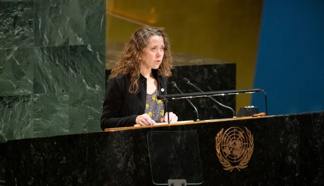 UNGA WSIS20