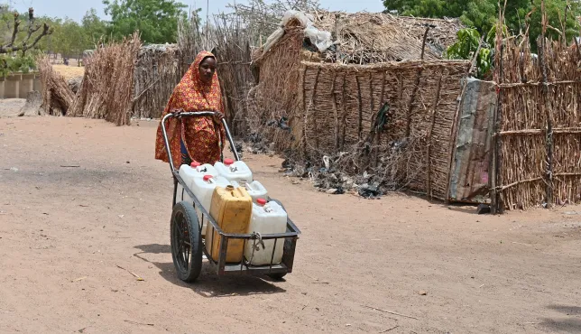 Une déplacée à Kolofata