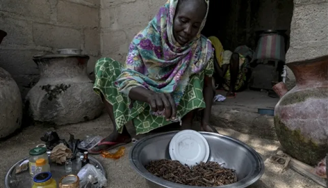 This 57-year-old woman fled her village and the Lake Chad crisis with her seven children after a day of fighting. Today, she makes and sells incense and frangrant oils in Maroua, where she settled. The ICRC granted her cash money to support her business.