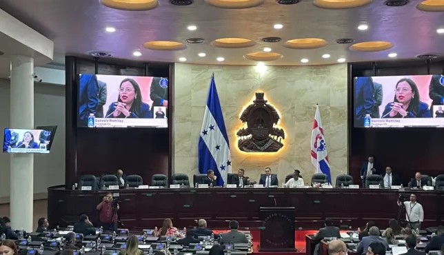 Familiar de una persona desaparecida dirige un mensaje ante el Congreso Nacional de Honduras