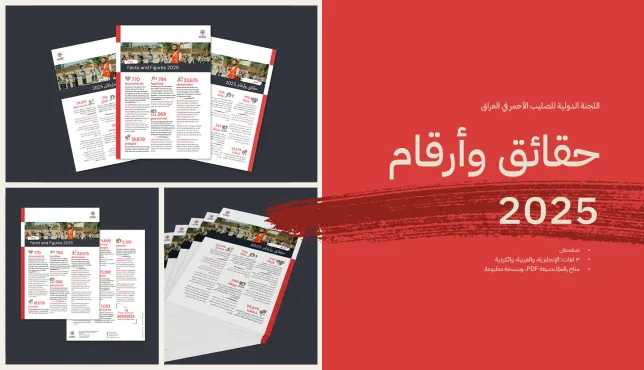 نماذج لنشرة "حقائق وأرقام - العراق 2025"، تُظهر تصميمًا احترافيًا مع عرض العنوان بشكل بارز على الغلاف.