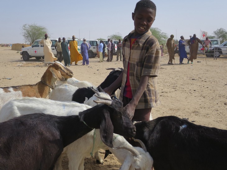 Bello Ousmane, inséparable de son troupeau.