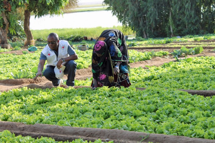 Gao, Mali. The ICRC help a women’s association grow vegetables.