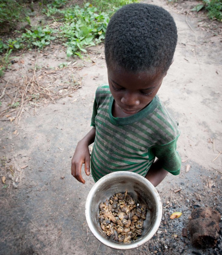 Hambre y desnutrición en la RD Congo. Los pobladores buscan caracoles. A veces, se internan en el bosque durante días para conseguir la cantidad suficiente. CC BY-NC-ND/CICR/P. Yazdi