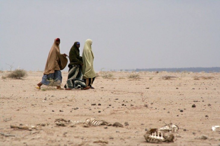 O conflito e a seca no Mali ocasionam deslocamento e fome.
