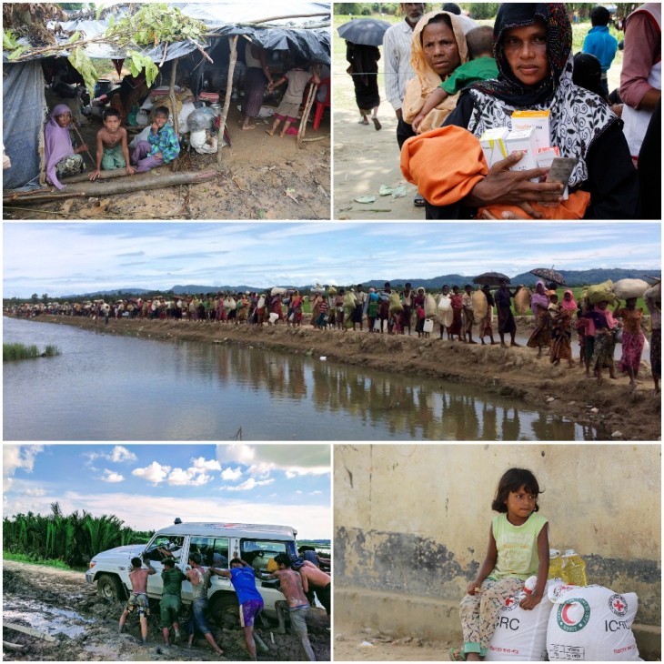 Miles de personas todavía cruzan a #Bangladesh cada día. Más de 600.000 fueron desplazadas por la violencia en #Rakhine, #Myanmar. / CICR